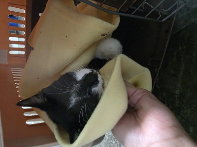 사단법인 동부_426340202500672