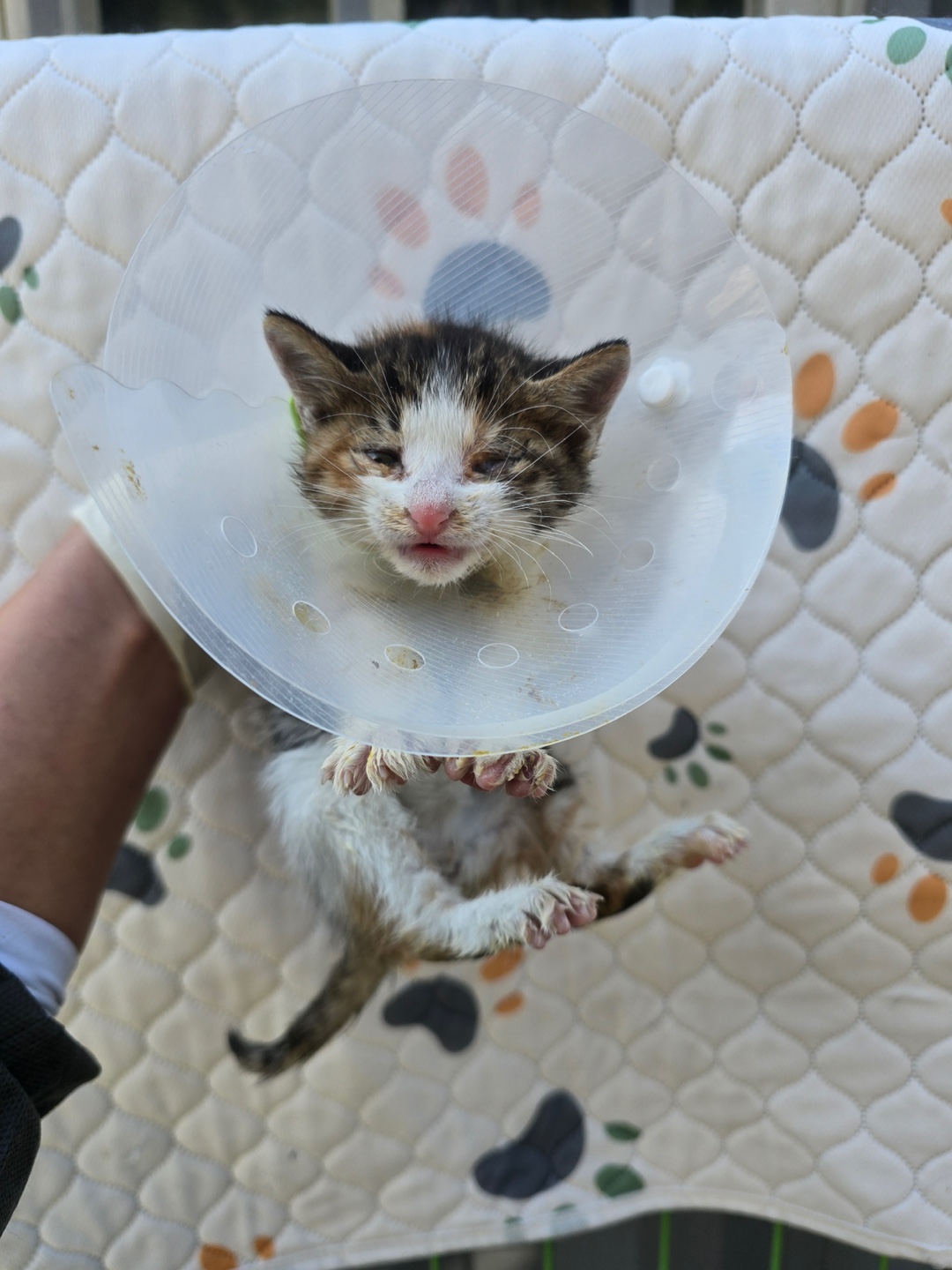 밀양시 동물보호센터_448536202500925