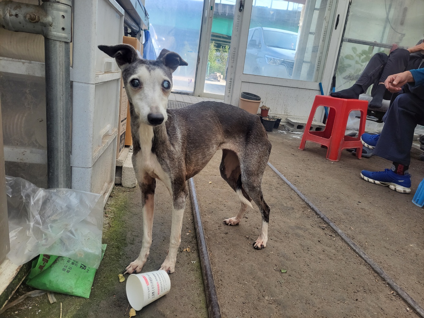 종료(반환) 그레이…