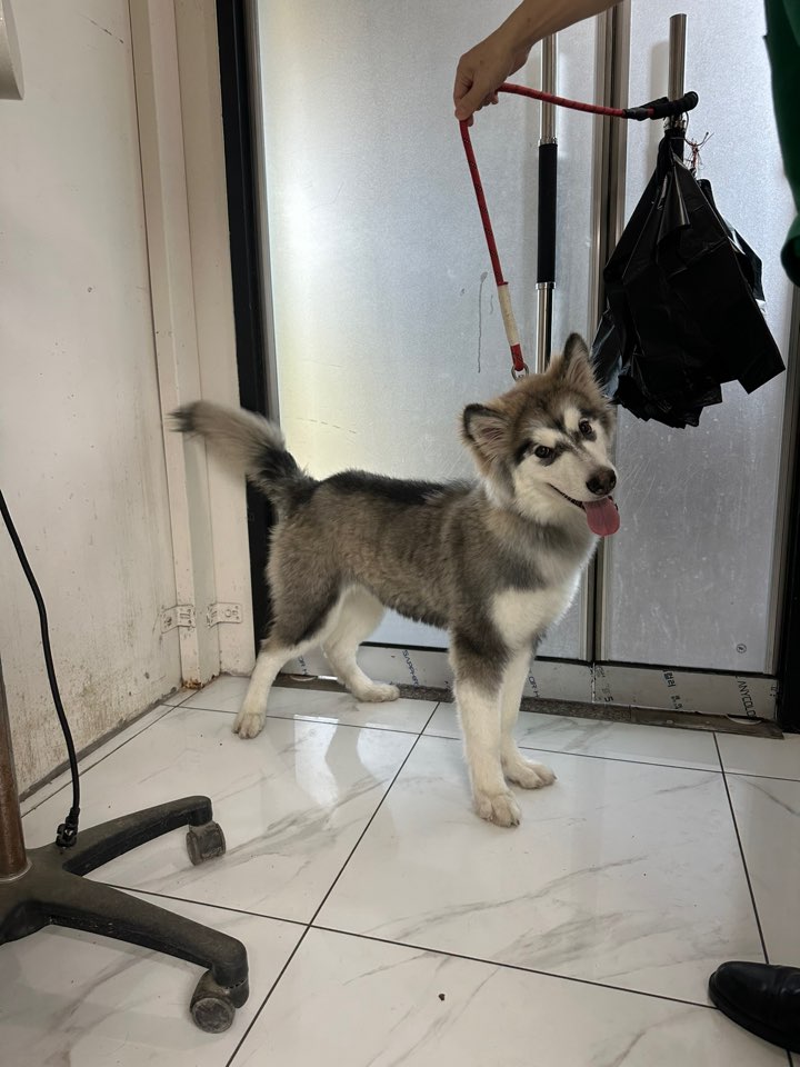 신공항동물병원_428349202500986