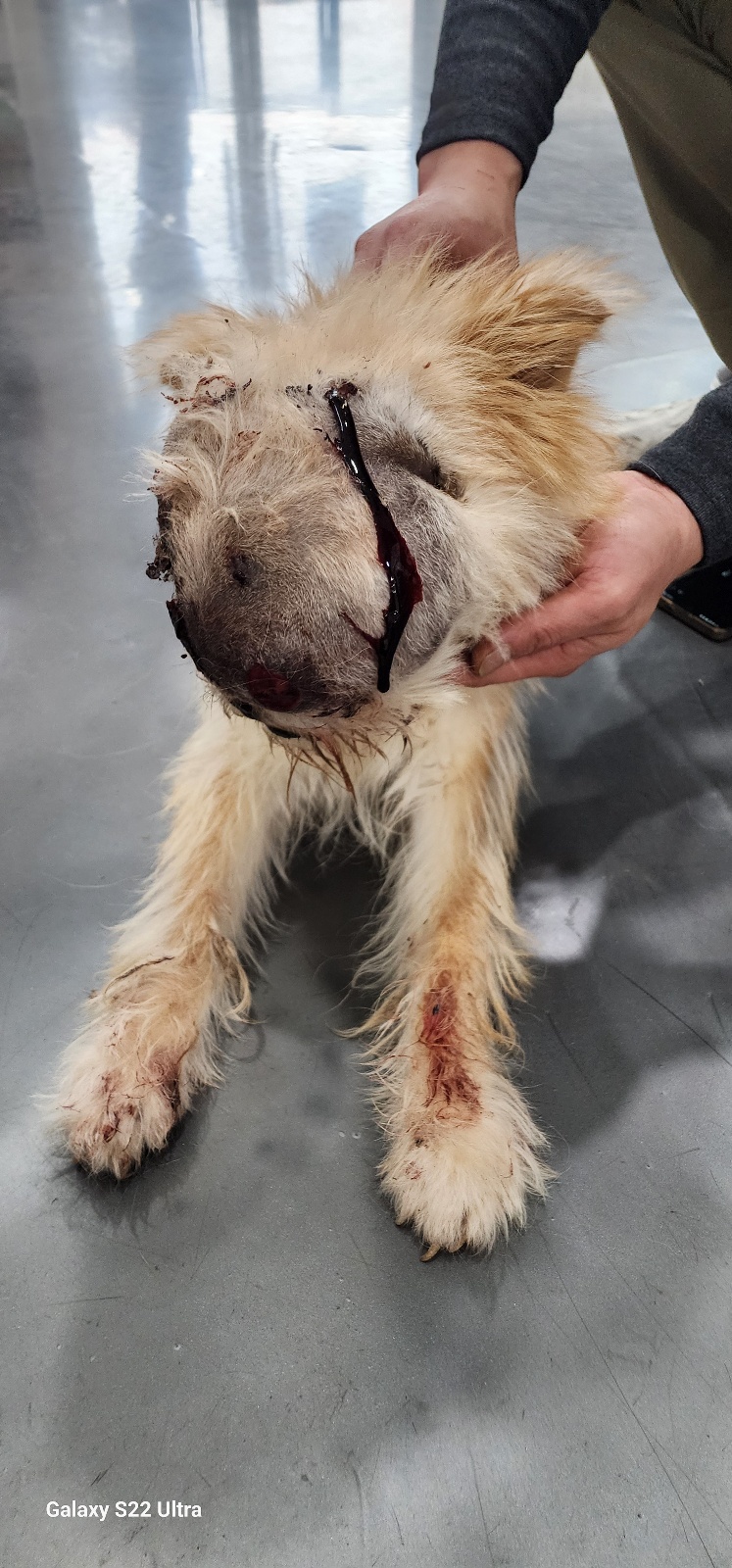 전북말산업복합센터_445471202500488