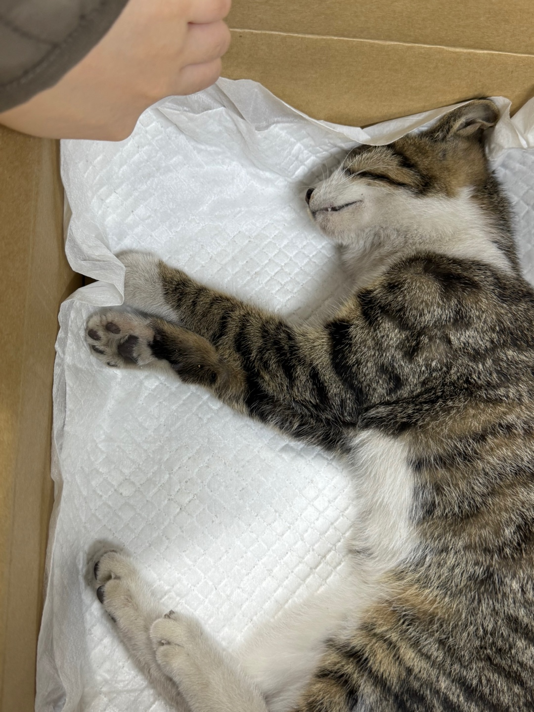 종료(자연사) 한국…