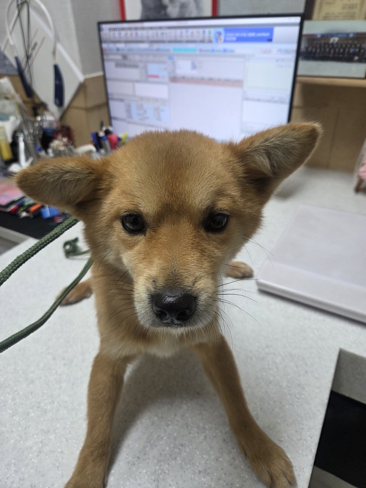 최종주동물병원_443444202500463