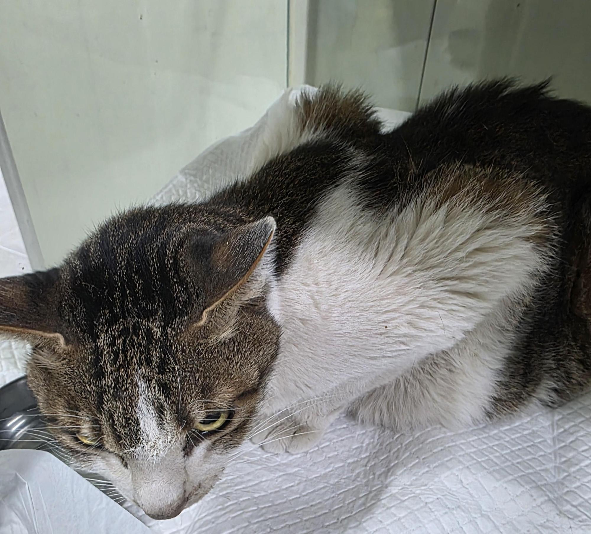 종료(자연사) 한국…