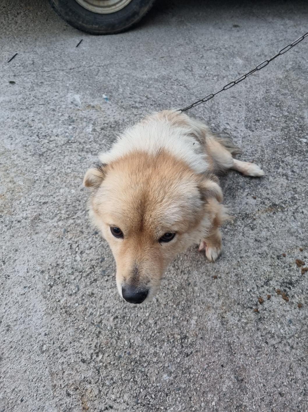 종료(자연사) 믹스…