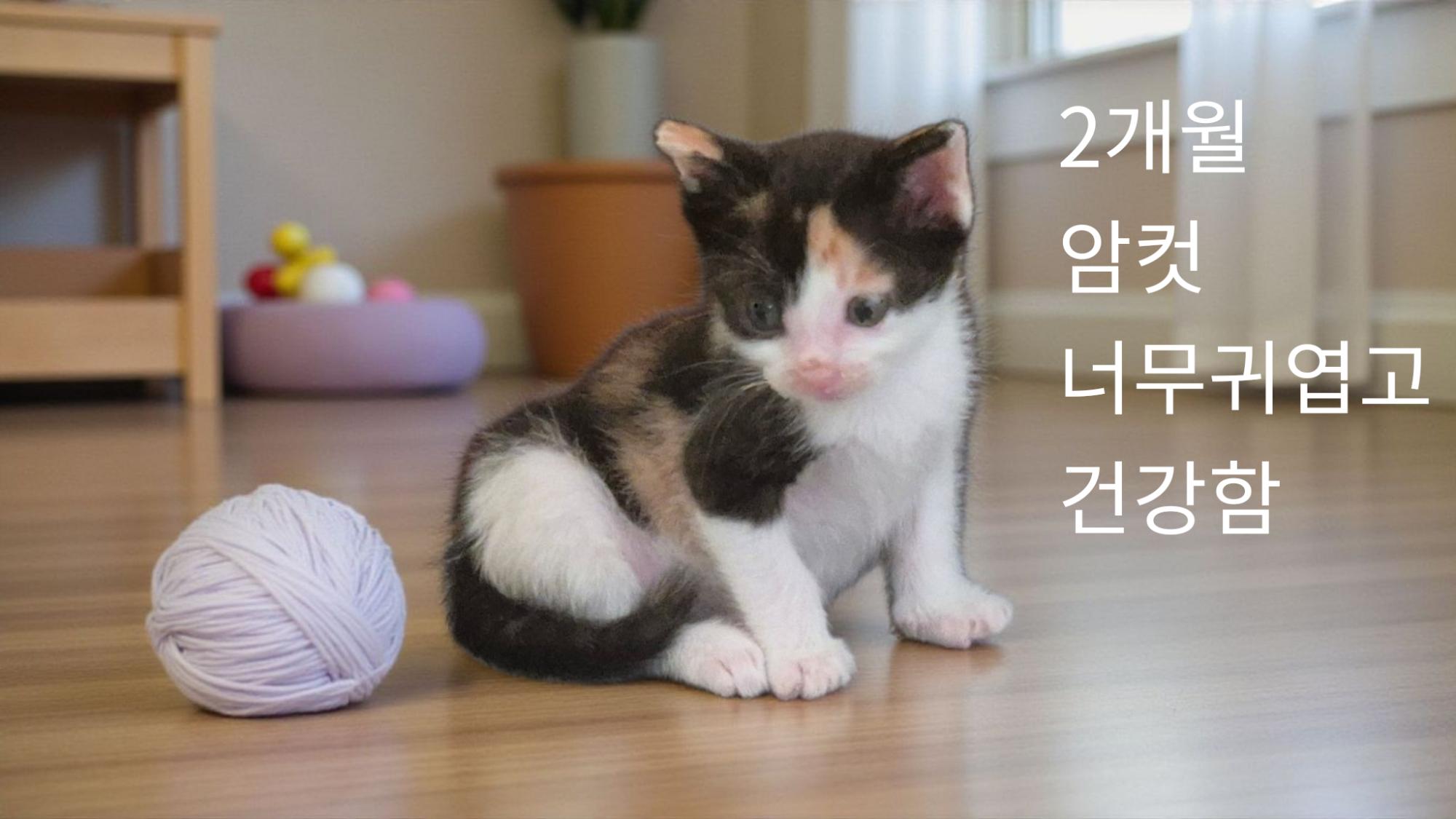 성주유기동물보호센터_447521202500498