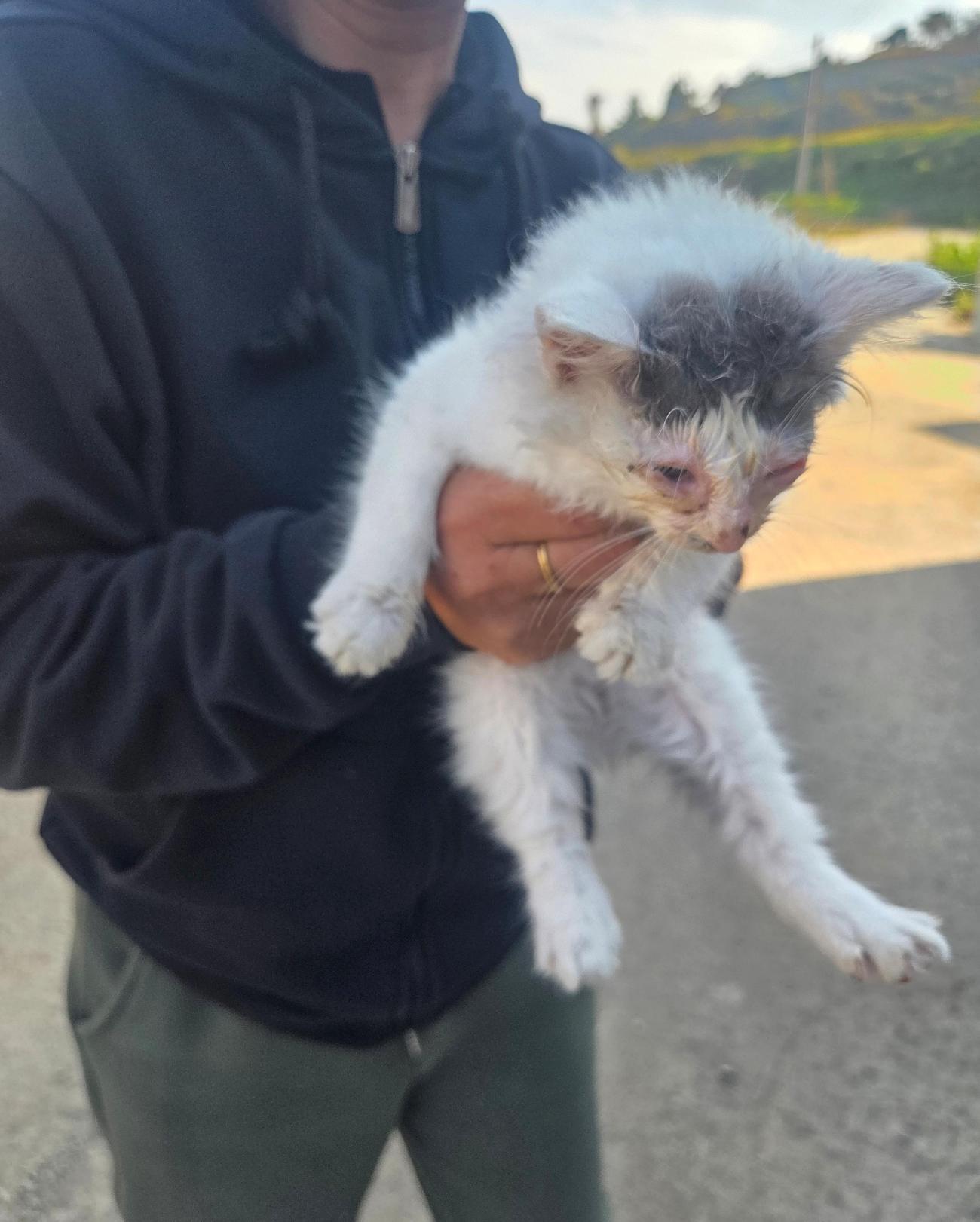 종료(자연사) 한국…