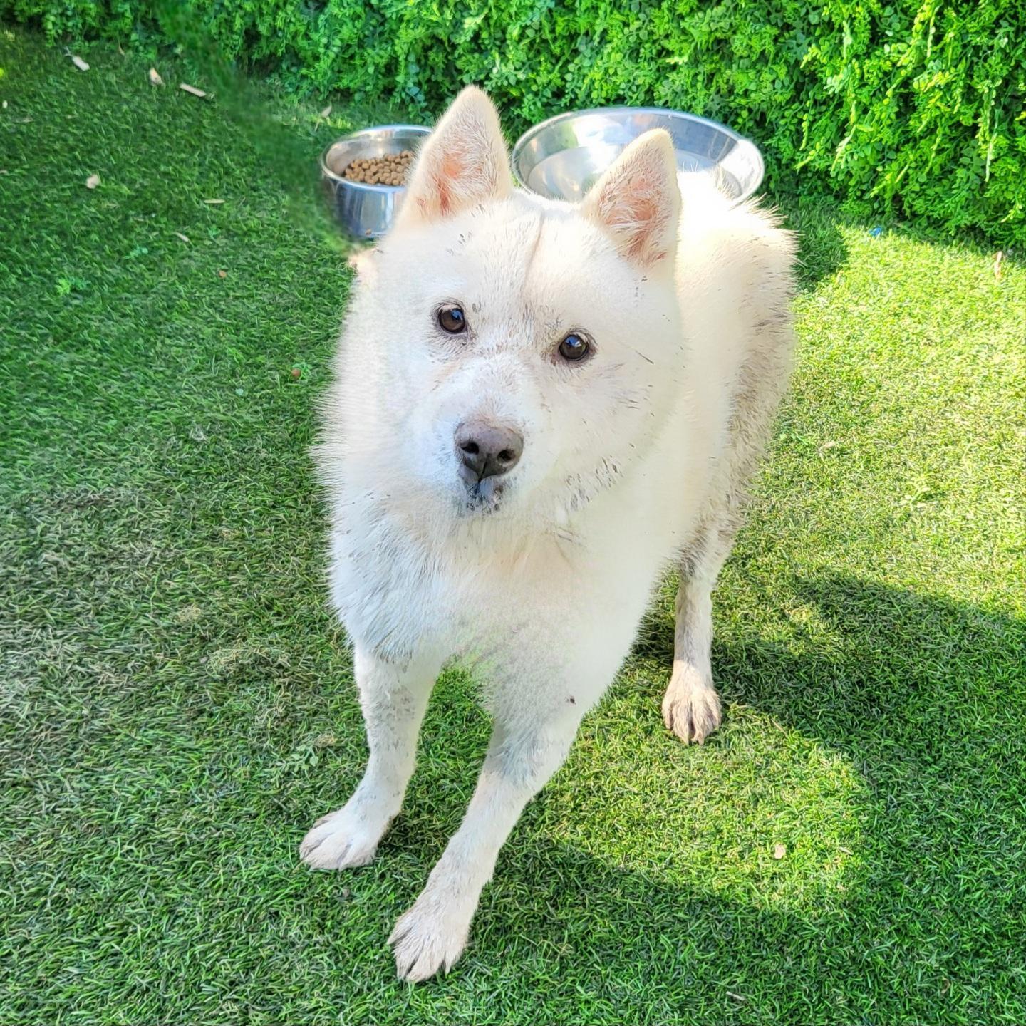 사천시 동물보호센터_448534202501607