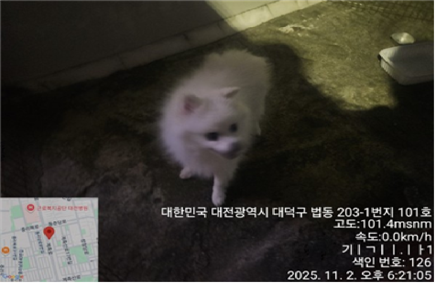 대전동물보호센터_430368202500448