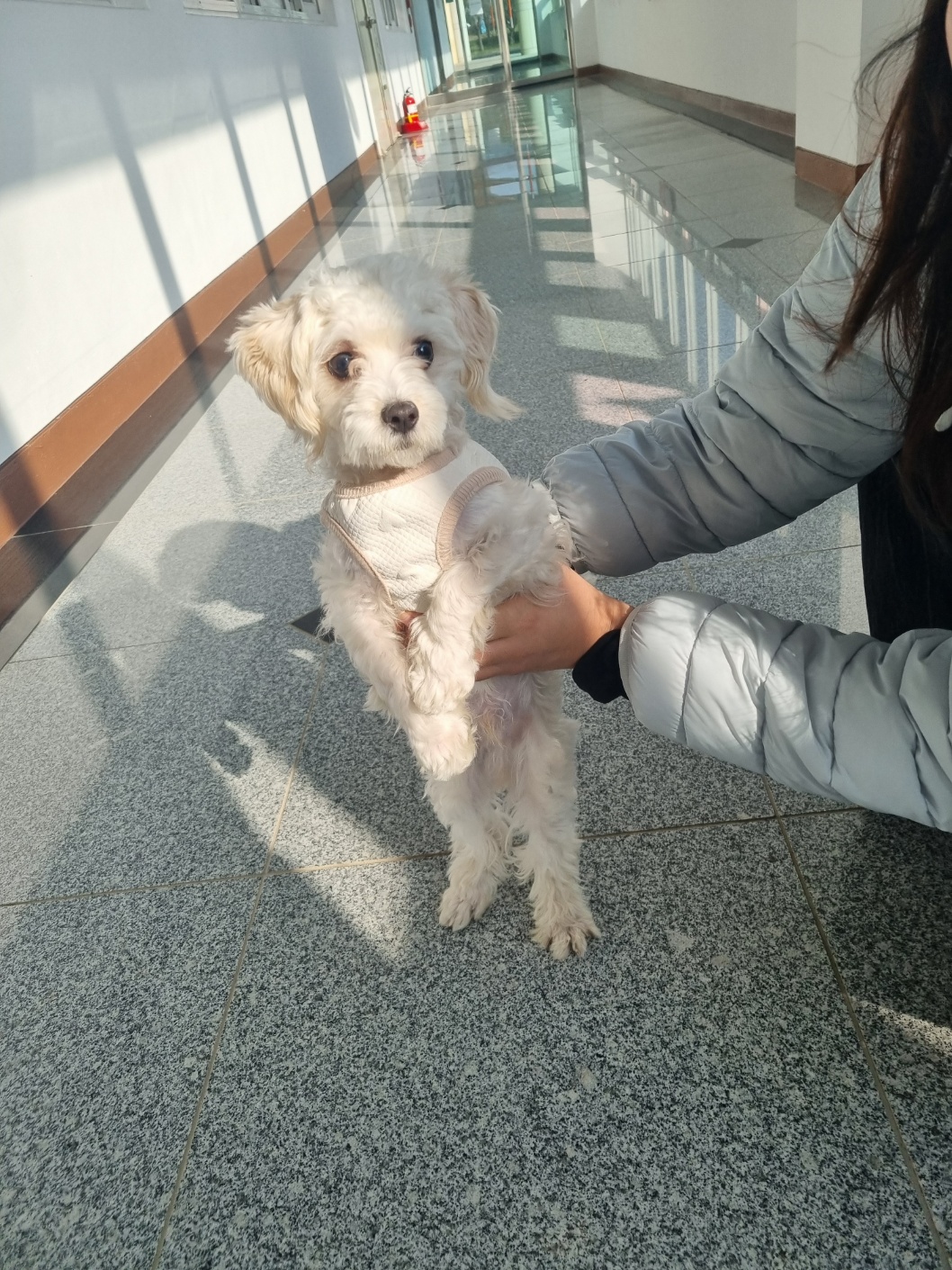 부안군 동물보호센터_445479202501185