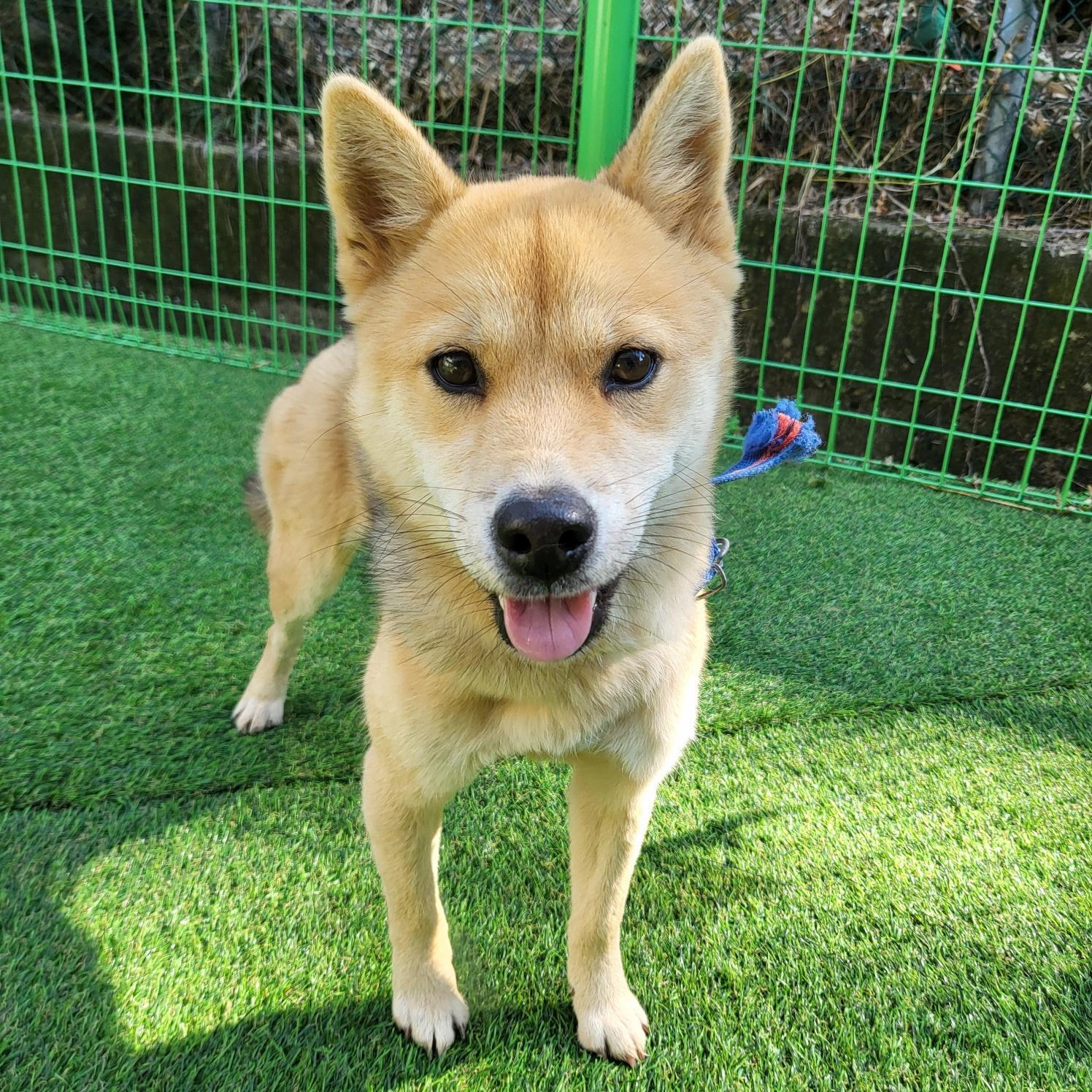 사천시 동물보호센터_448534202501608