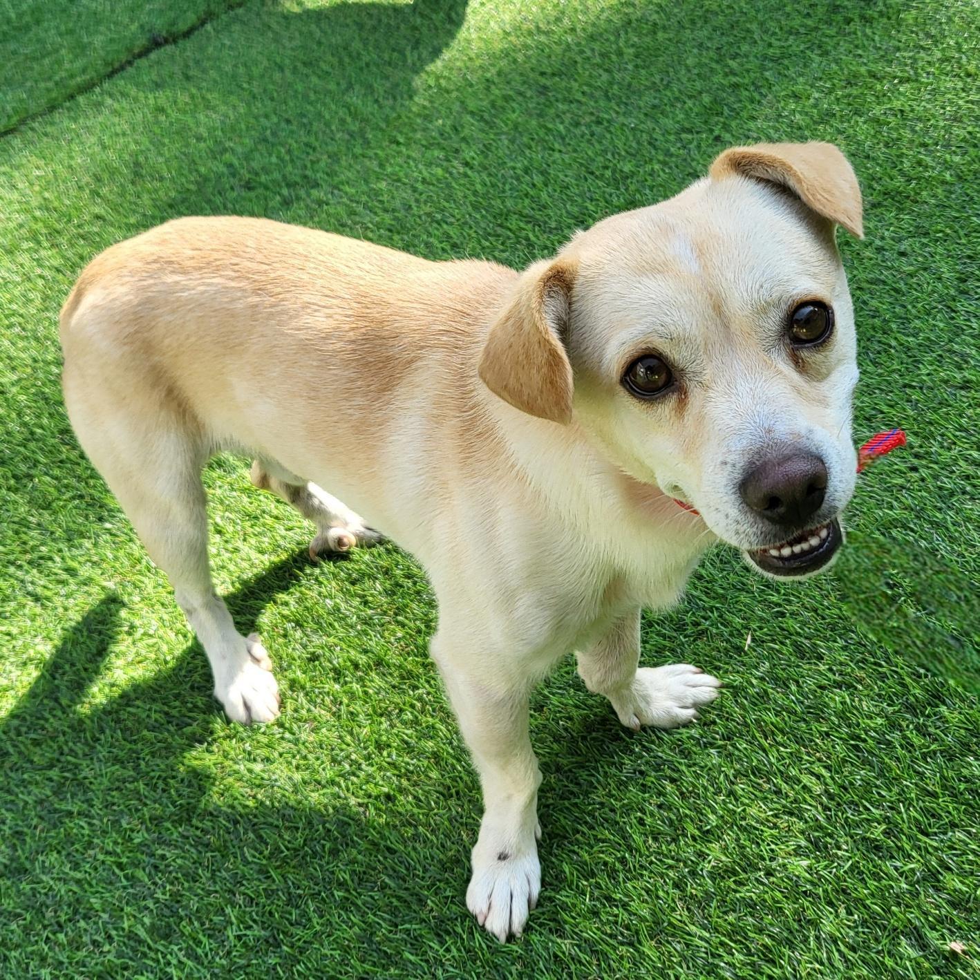 사천시 동물보호센터_448534202501609