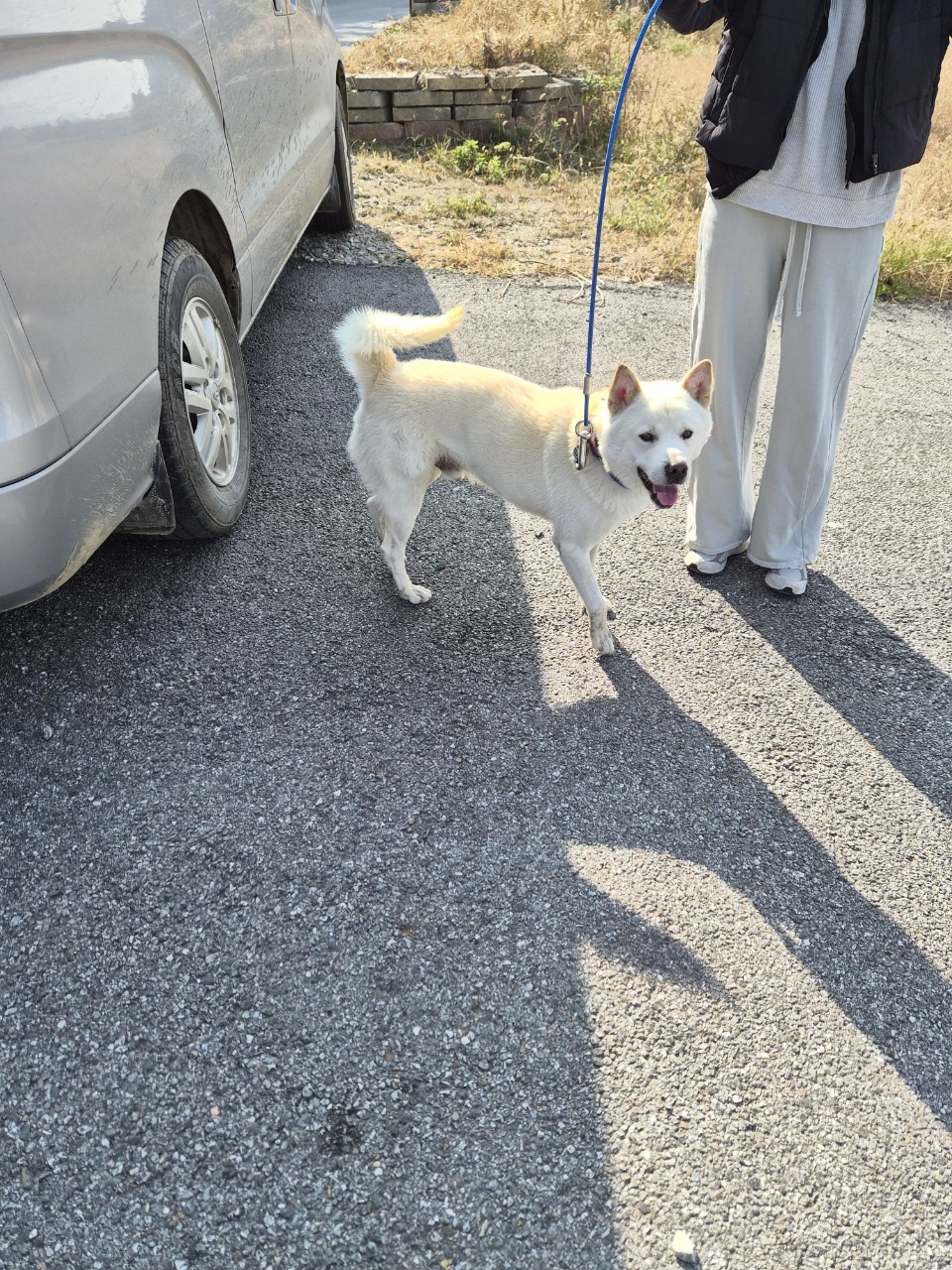 아산동물복지지원센터_444452202502141