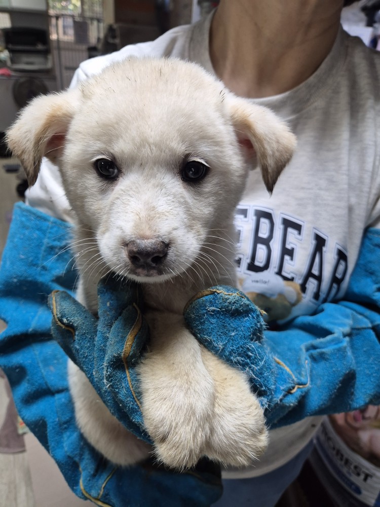 우리동물병원_428356202501585