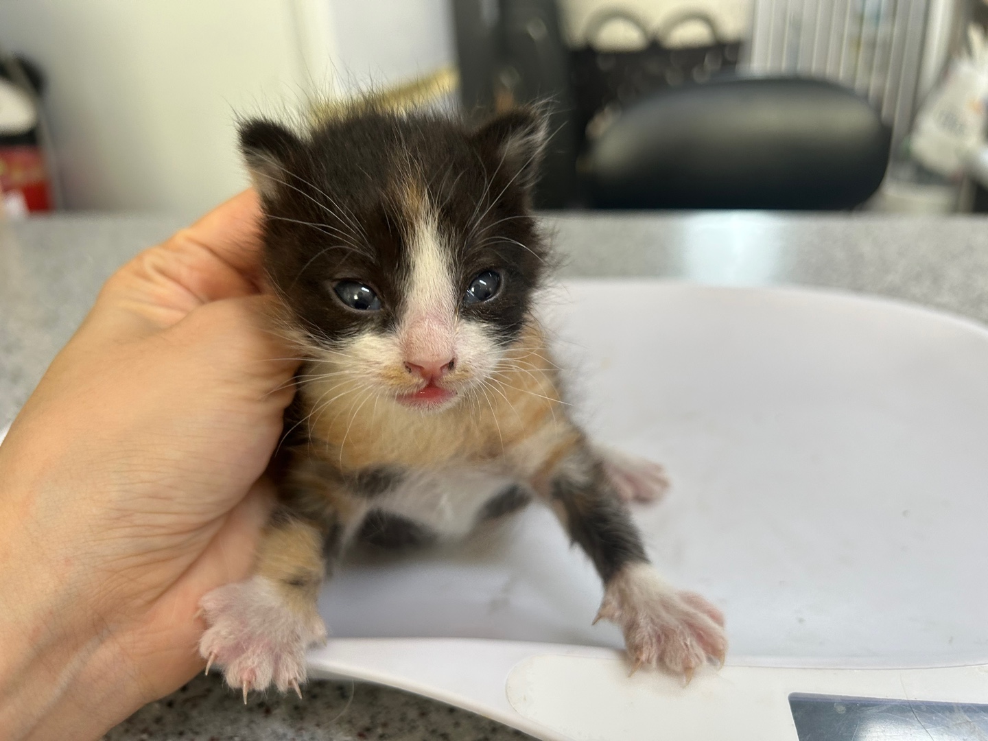 종료(기증) 한국 …