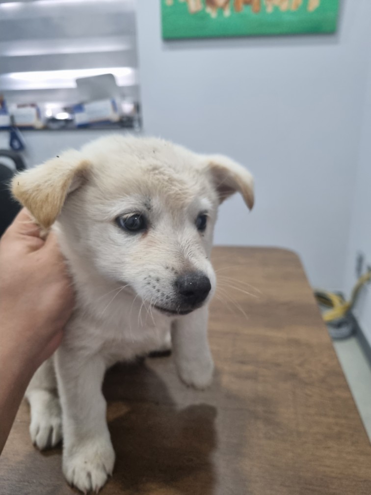 군위종합동물병원_427514202500269