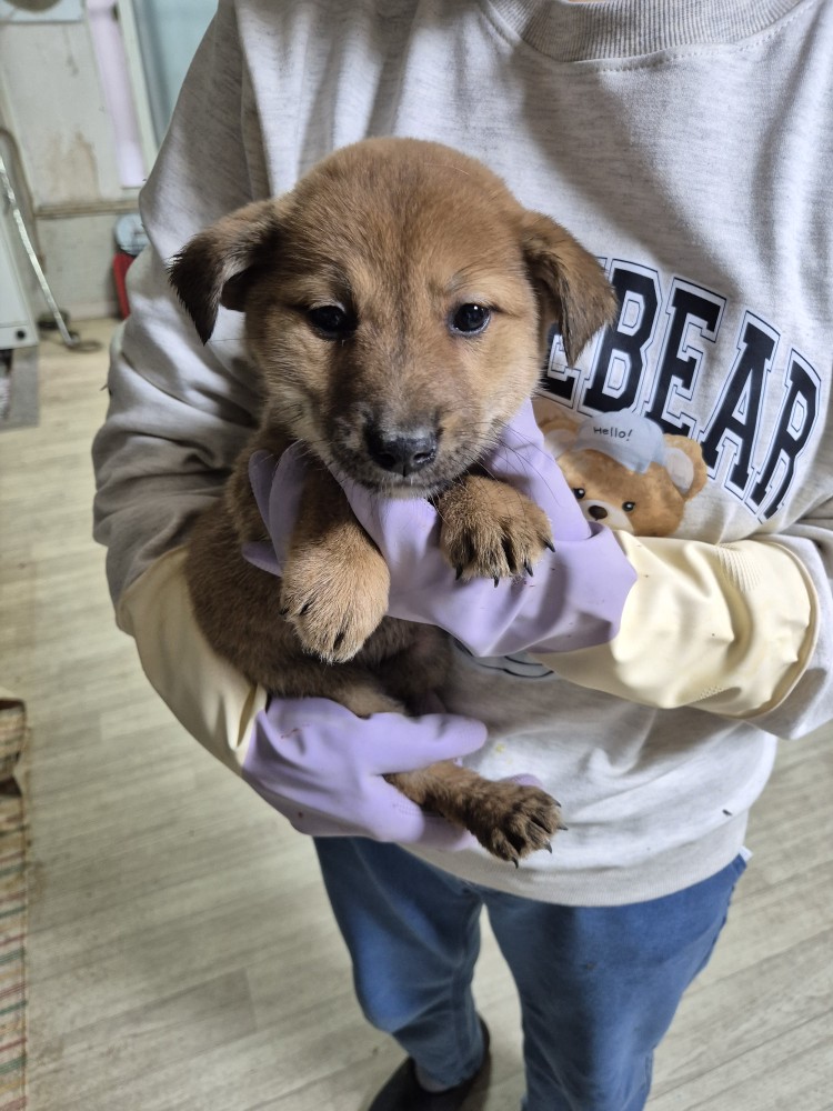 우리동물병원_428356202501589