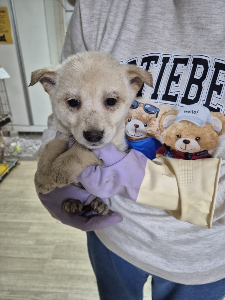 우리동물병원_428356202501590