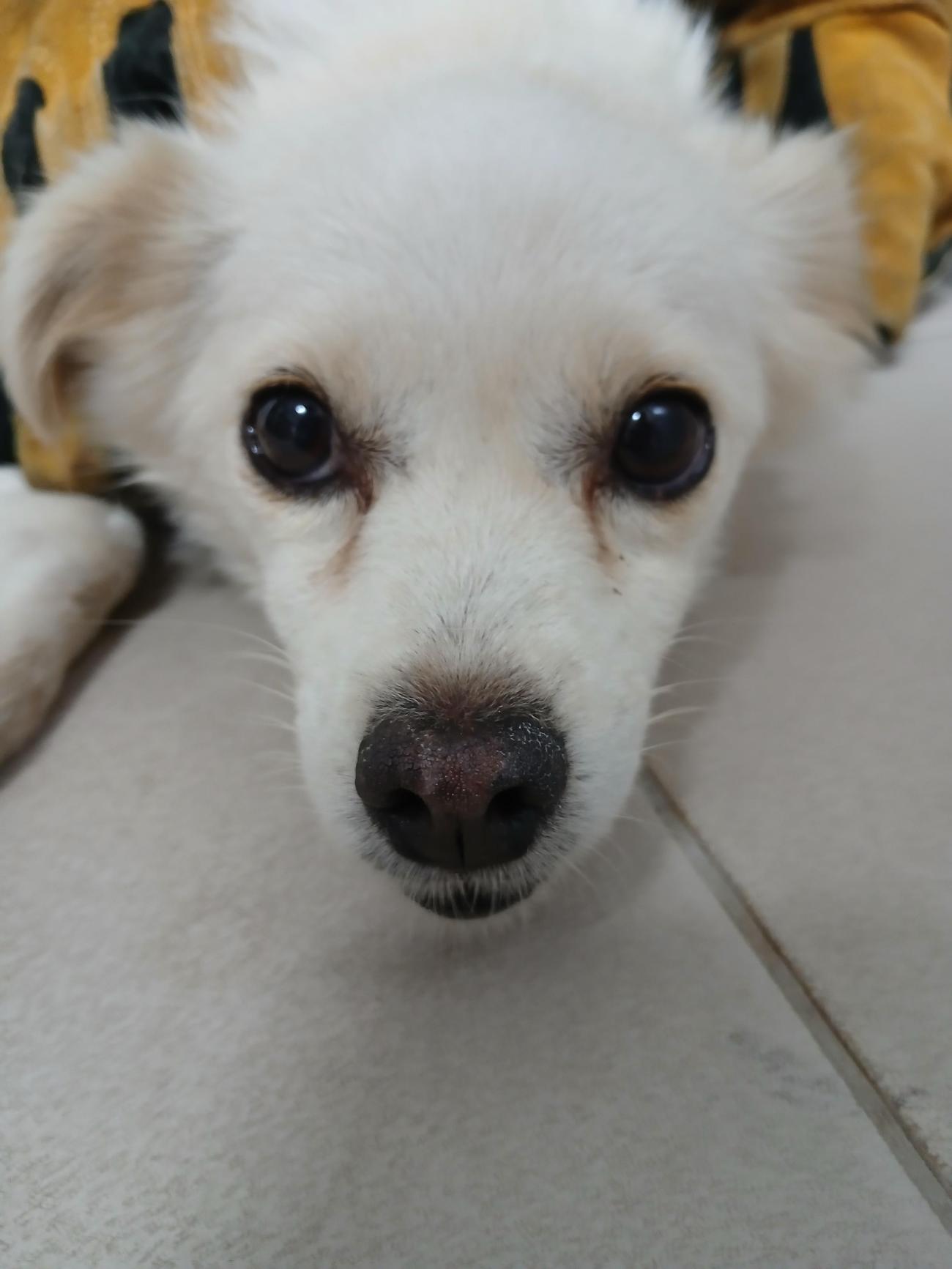 남해군동물보호센터_448543202500189