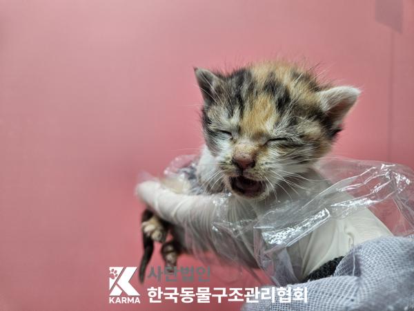 종료(자연사) 한국…