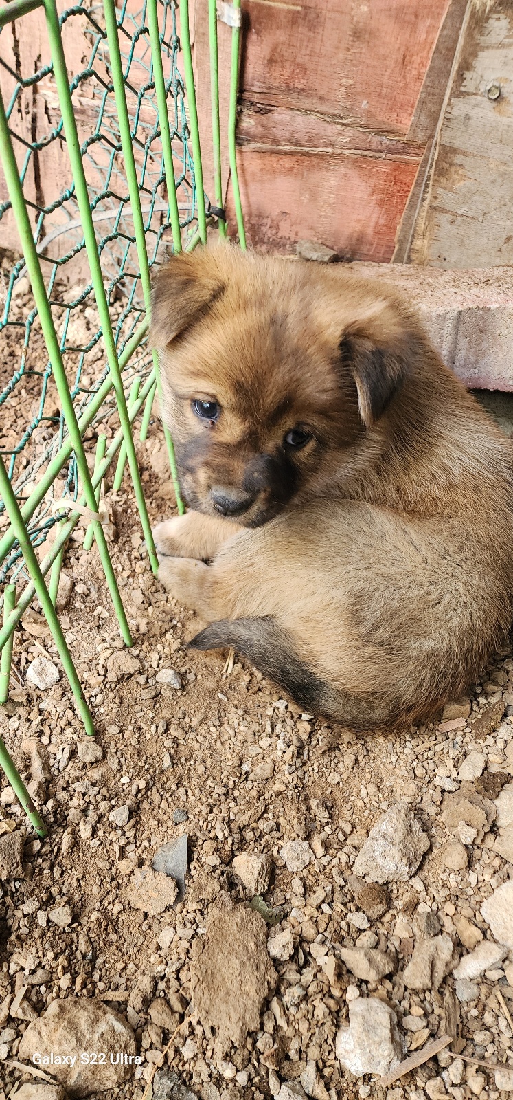 전북말산업복합센터_445471202500490