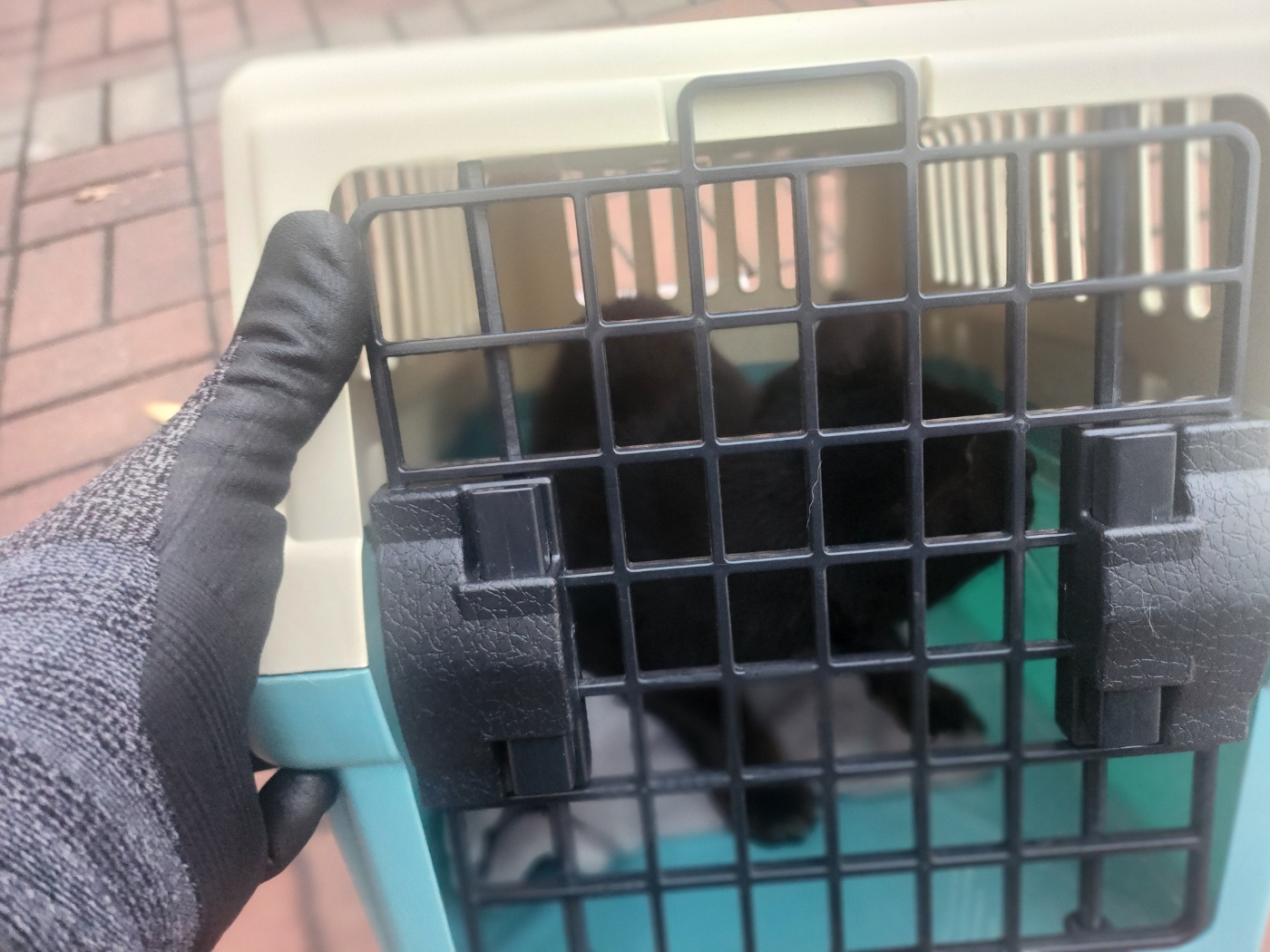 한국동물구조관리협회_411310202500768