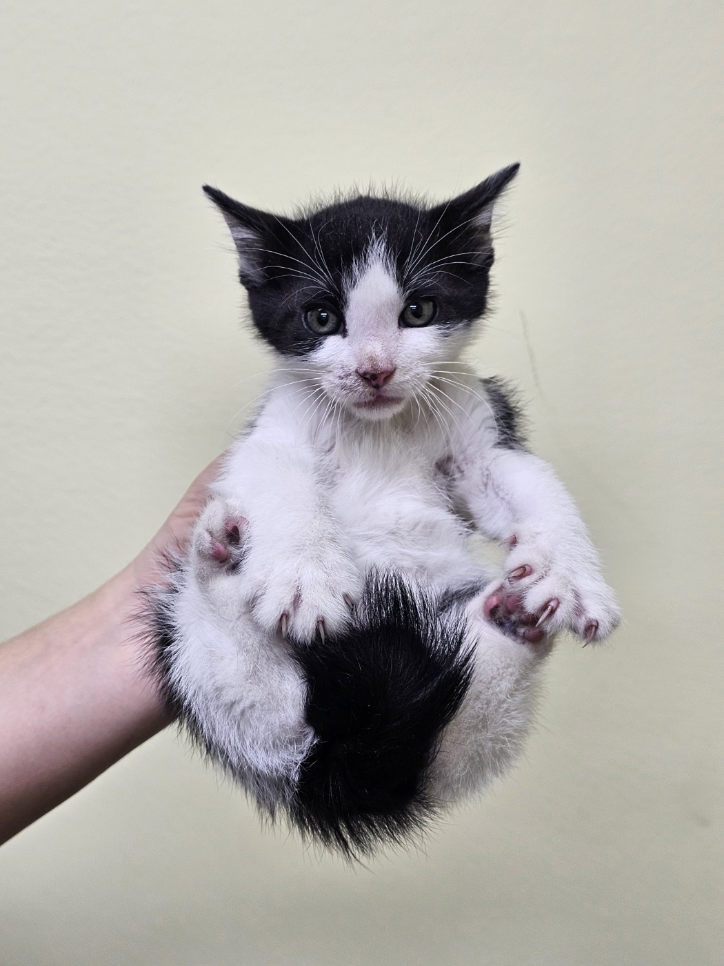 반려동물보호센터_443571202502971