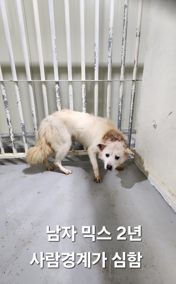 옥천동물병원_443443202500741