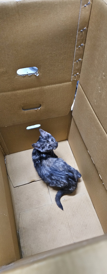 익산유기동물보호소_445468202503022