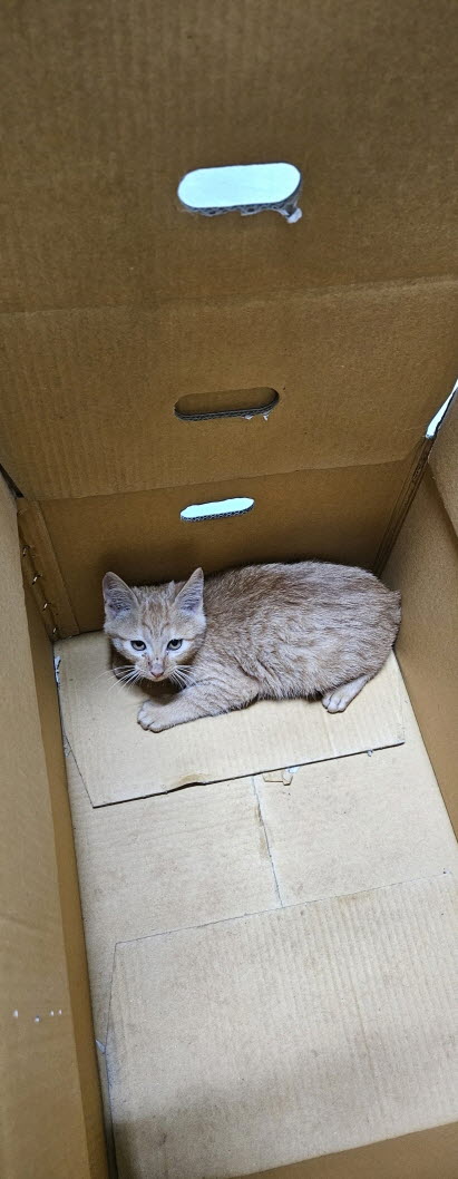 익산유기동물보호소_445468202503019