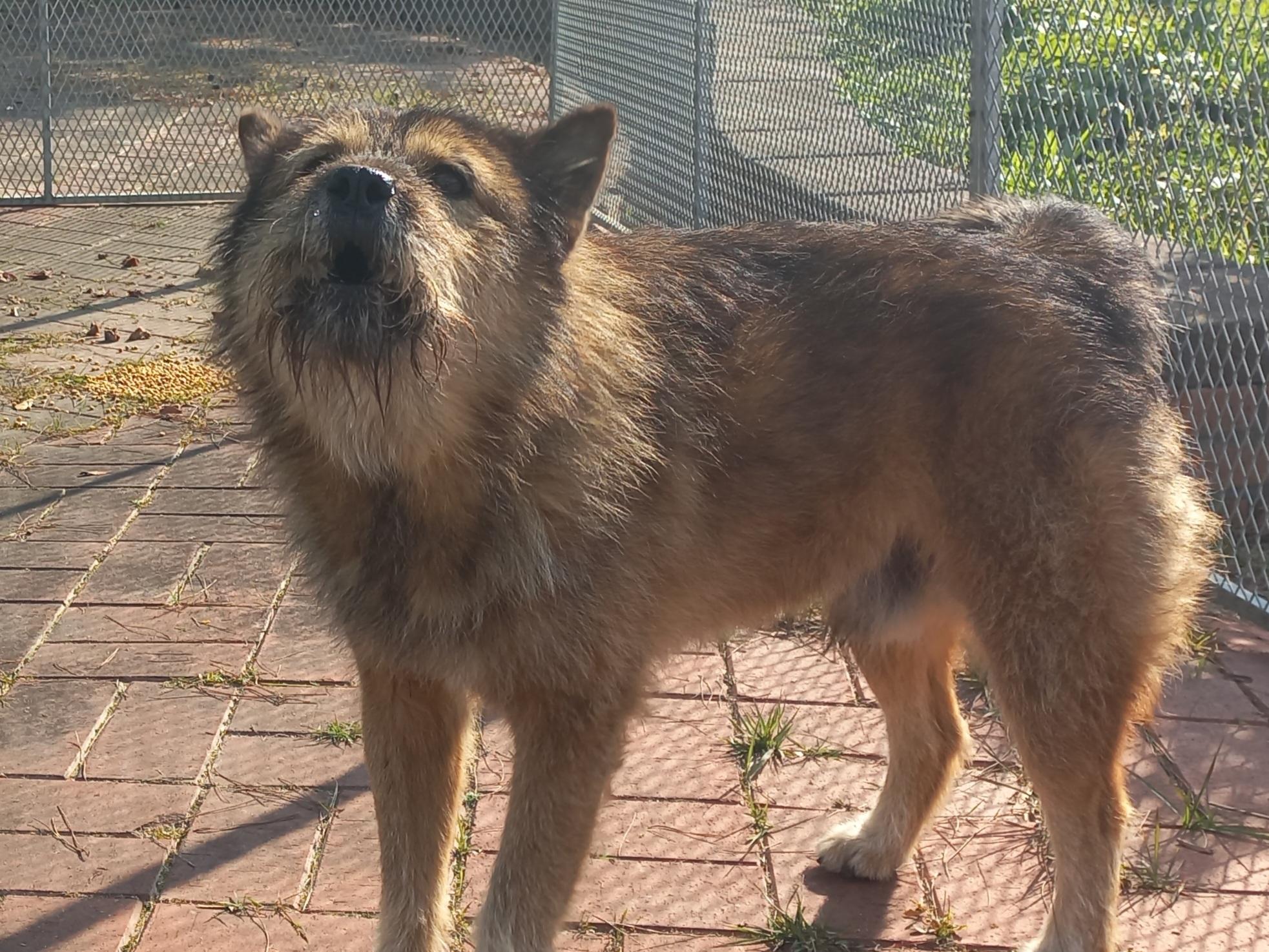 (사)동물보호관리협회_448535202501632