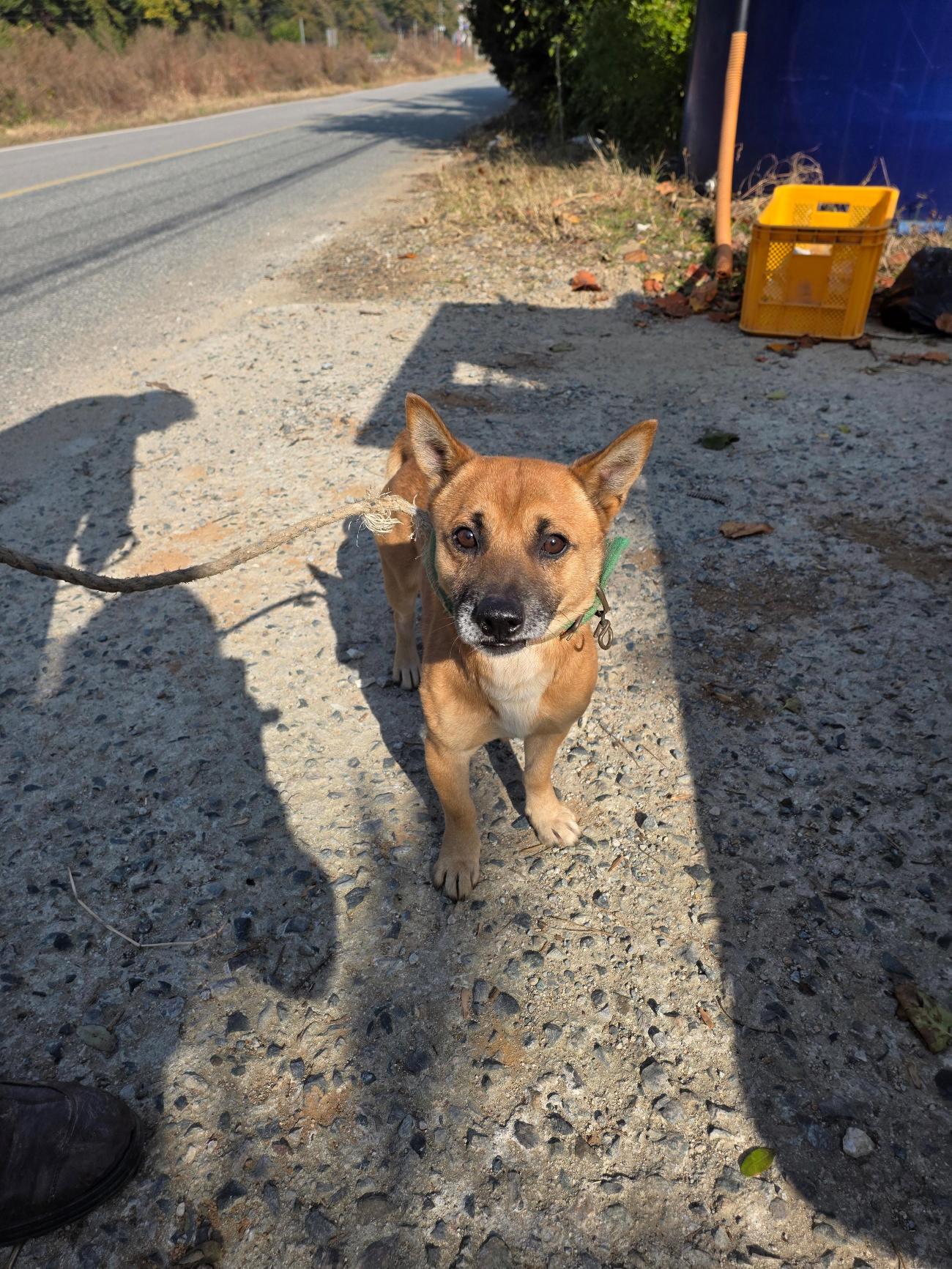 괴산증평동물보호센터_443446202500467