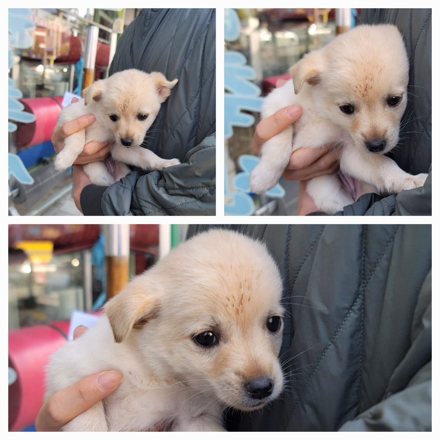 종합축산_447512202500666