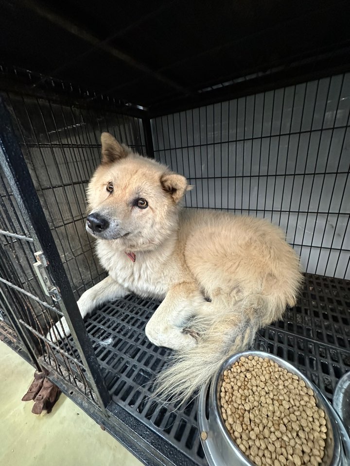 신공항동물병원_428349202500988