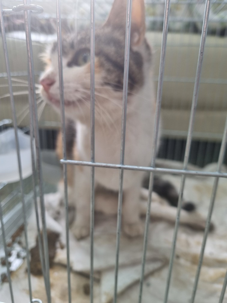 군위종합동물병원_427514202500271