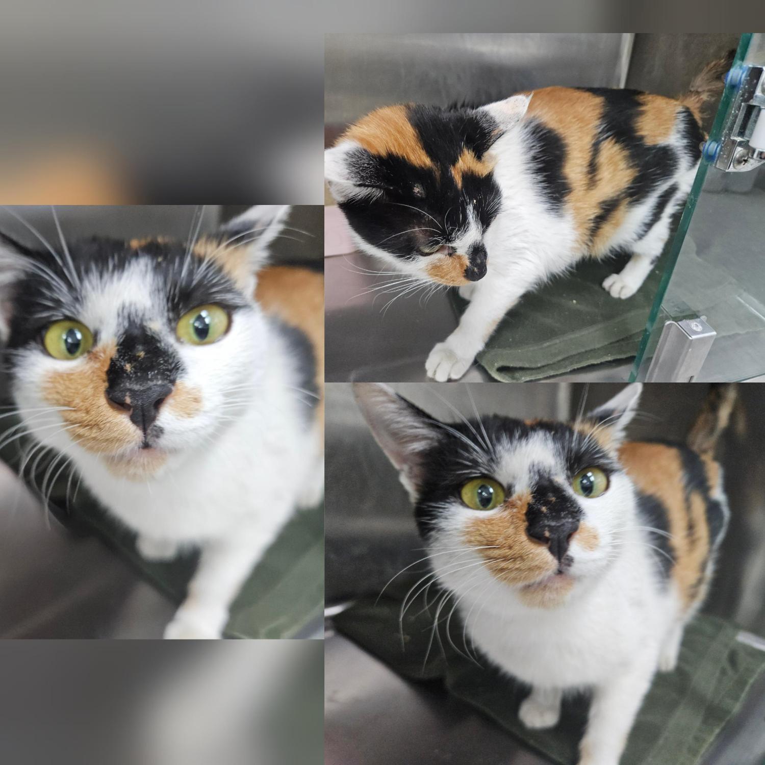 종료(방사) 한국 …