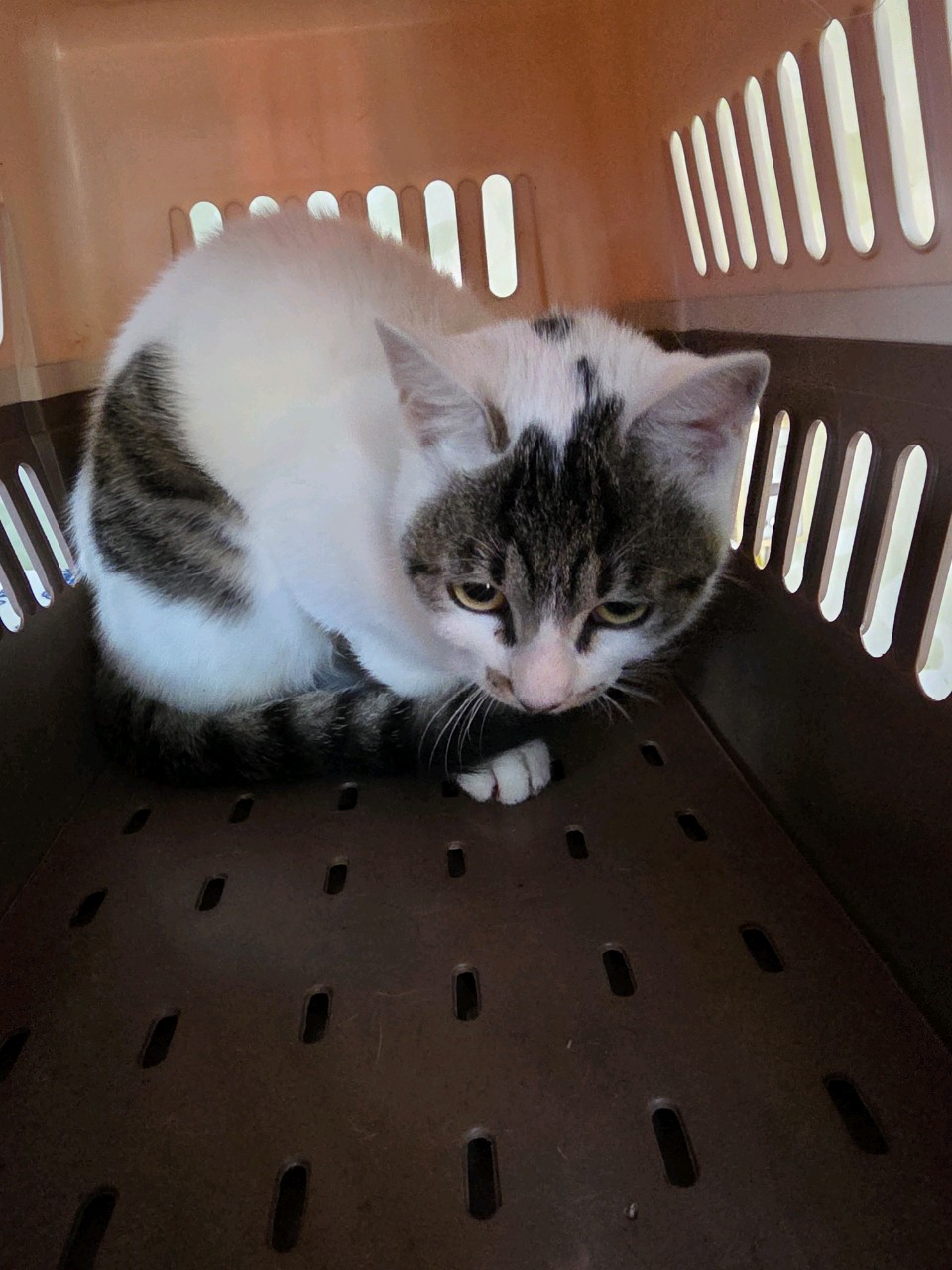 종료(방사) 한국 …