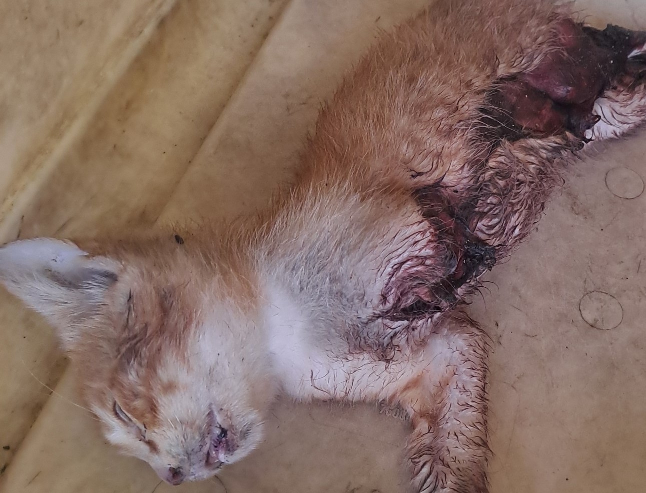 종료(자연사) 한국…