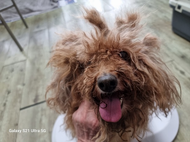 경동동물병원_428352202500521