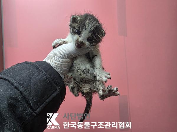 종료(자연사) 한국…