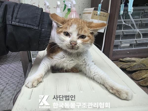 종료(자연사) 한국…