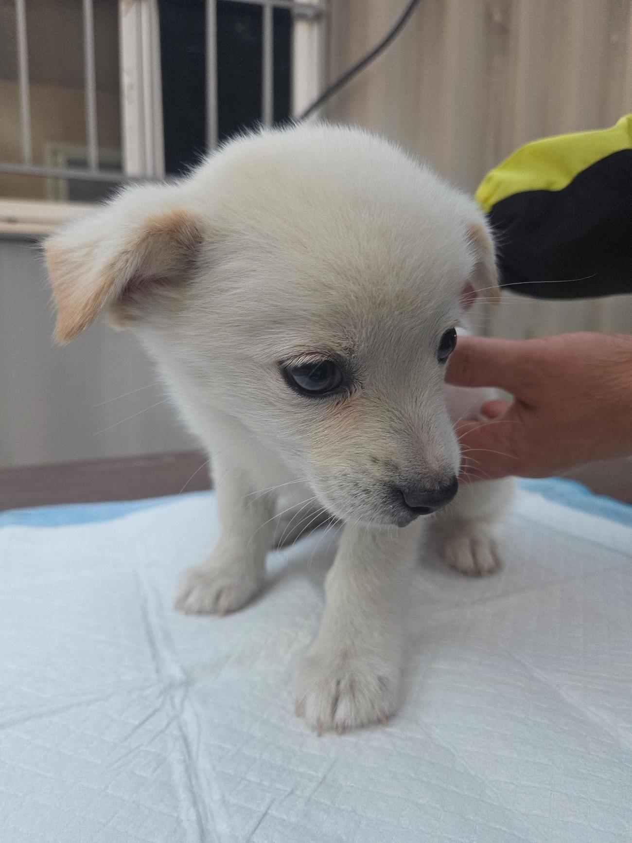 나주유기동물보호센터_446483202501840