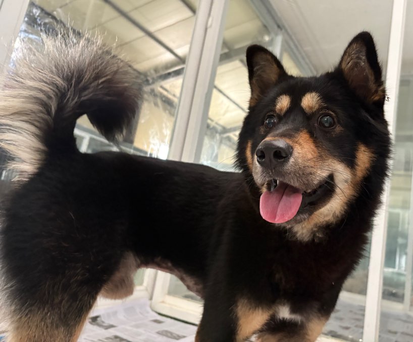 한국야생동물보호협회_441397202500268