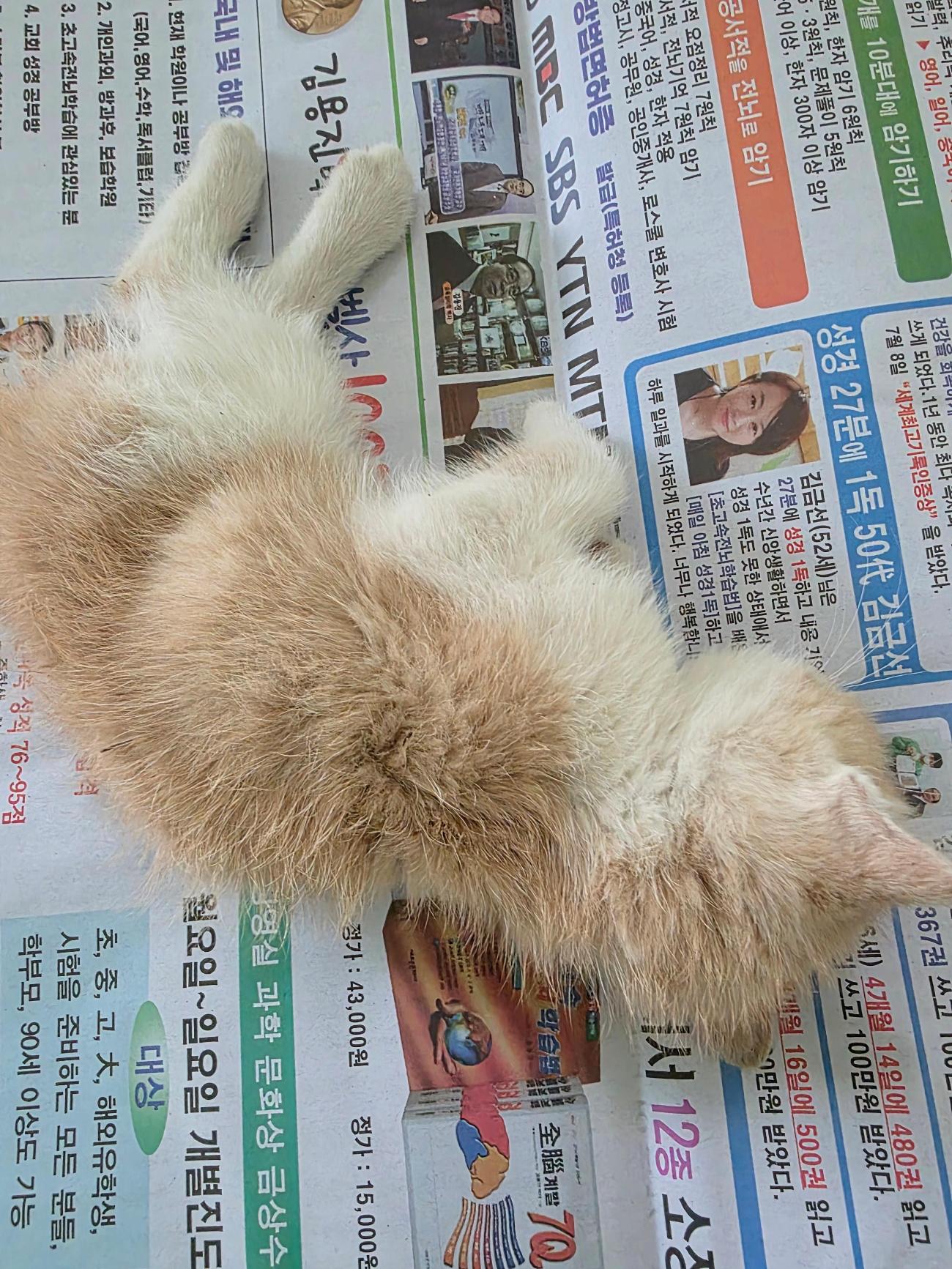 종료(자연사) 한국…