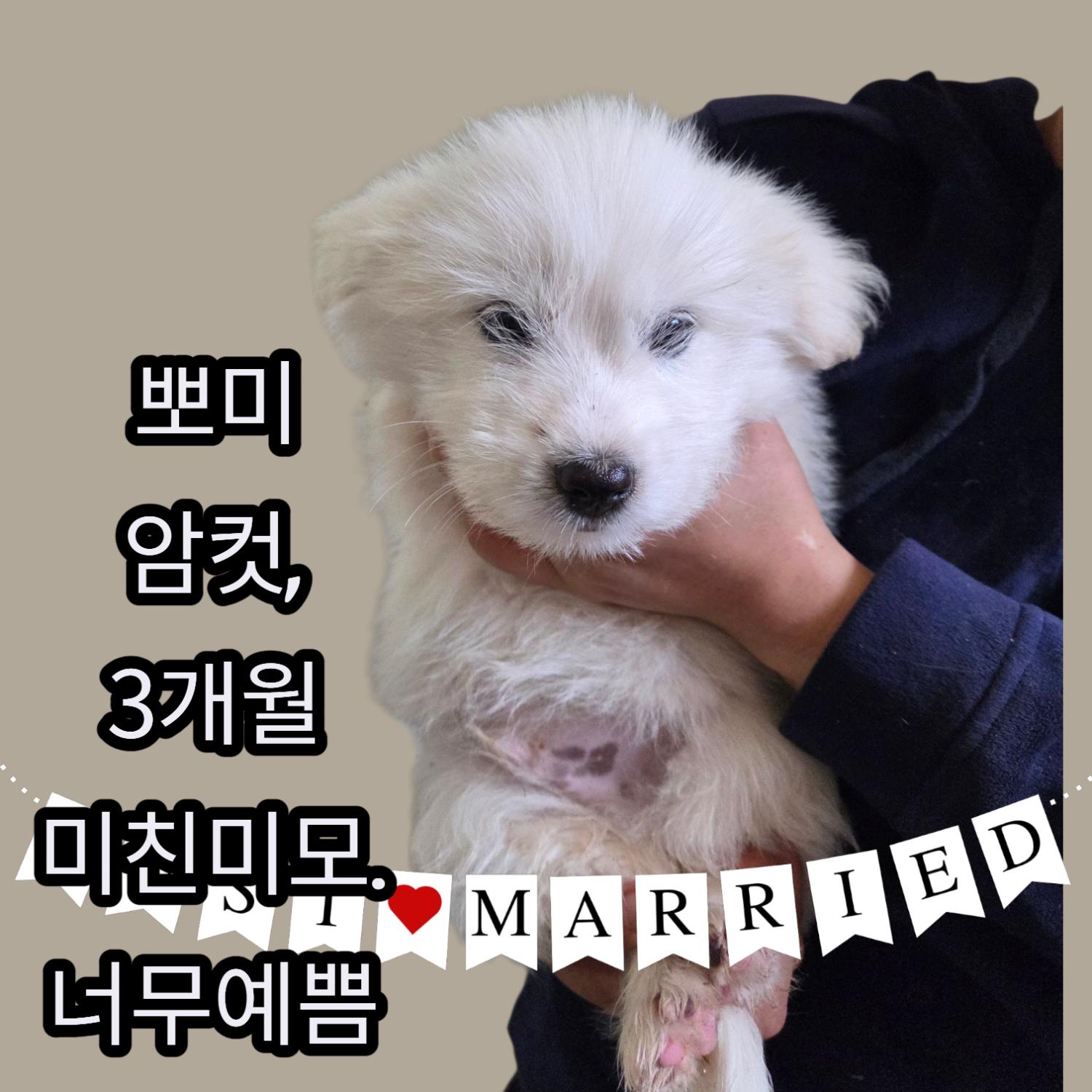 성주유기동물보호센터_447521202500510