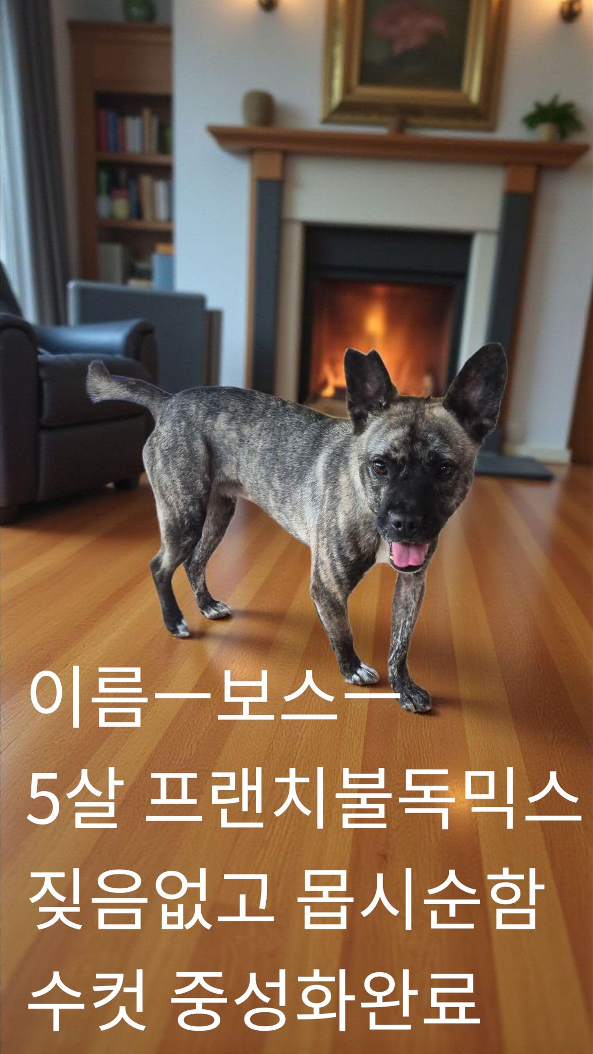 보호중 기타의 가족…