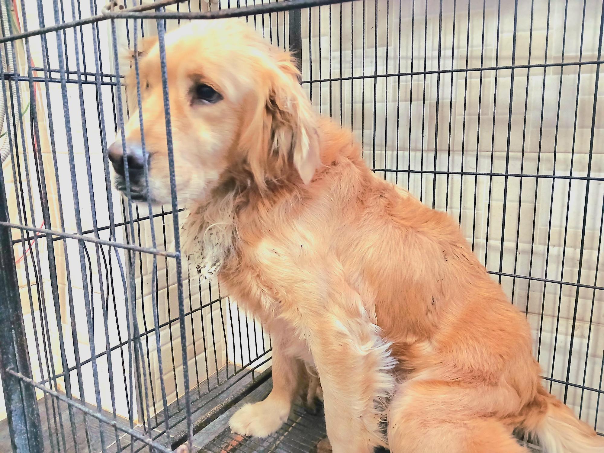 금왕동물병원_443447202501147