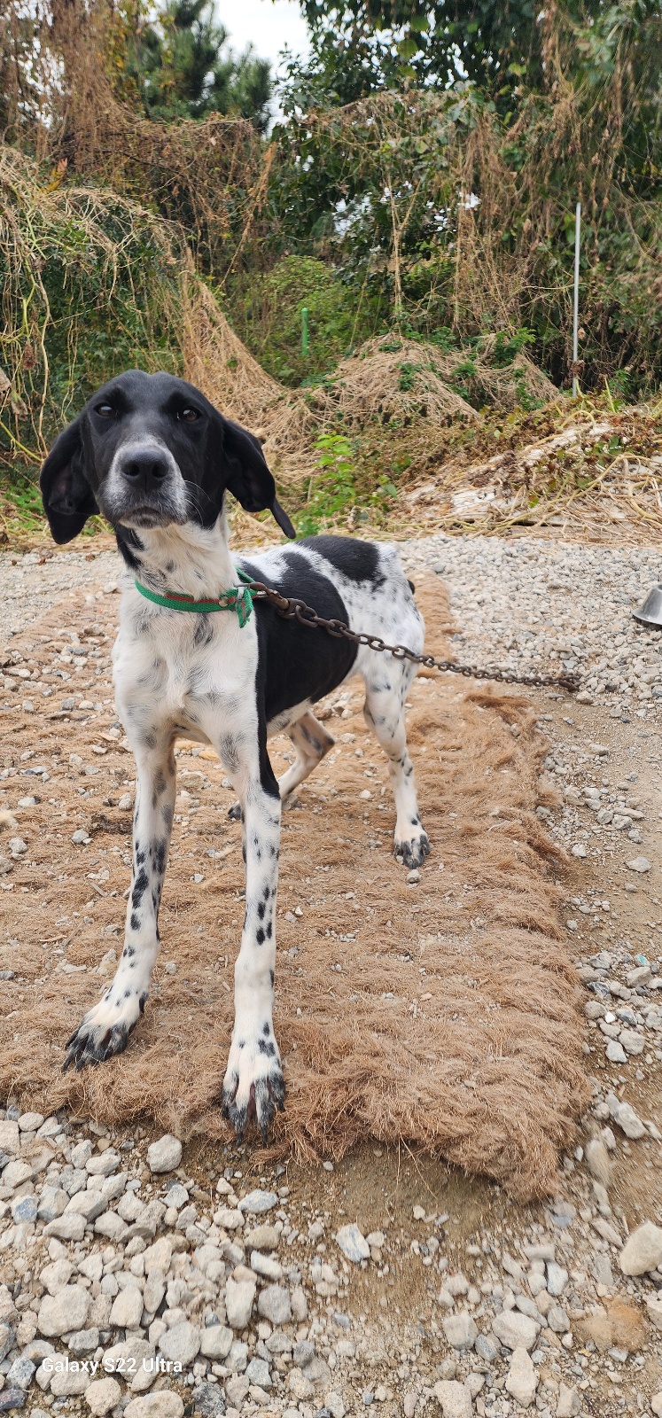 종료(자연사) 믹스…