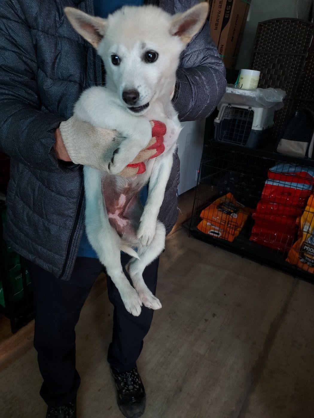 인월동물병원_445470202500993