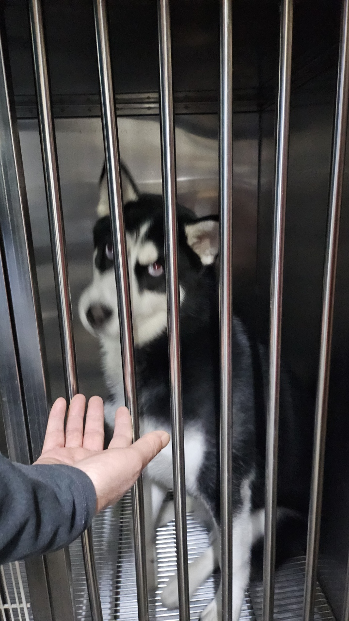 대구시수의사회(삼성)_427343202501053